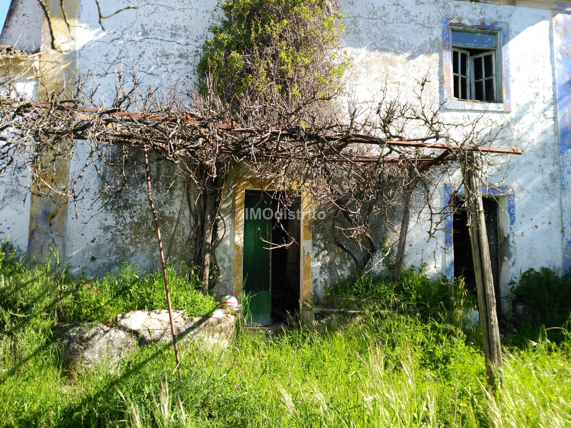 Quinta T6+2 Venda em Ribeira de Nisa e Carreiras,Portalegre