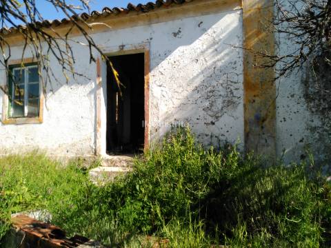 Quinta T6+2 Venda em Ribeira de Nisa e Carreiras,Portalegre