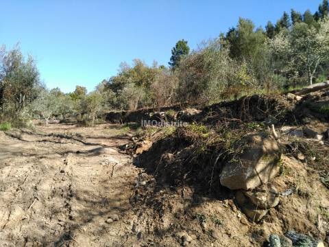Quinta T6+2 Venda em Ribeira de Nisa e Carreiras,Portalegre