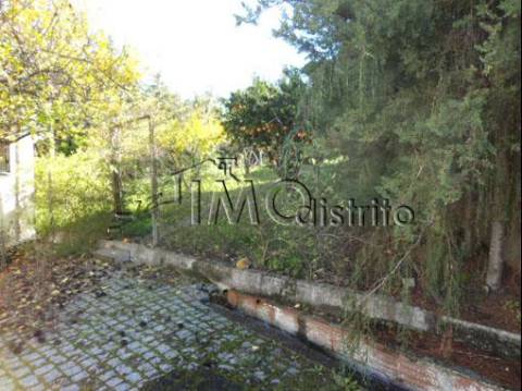 Armazém  Arrendamento em Sé e São Lourenço,Portalegre