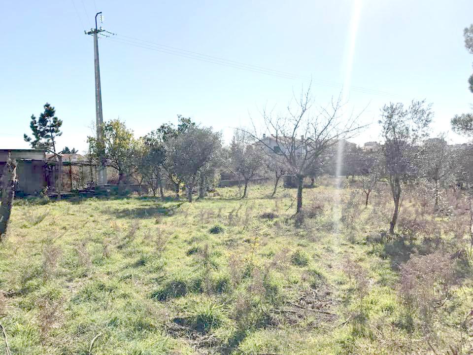 Terreno Para Construção  Venda em Repeses e São Salvador,Viseu