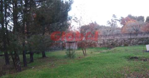 Terreno Para Construção  Venda em Rio de Loba,Viseu