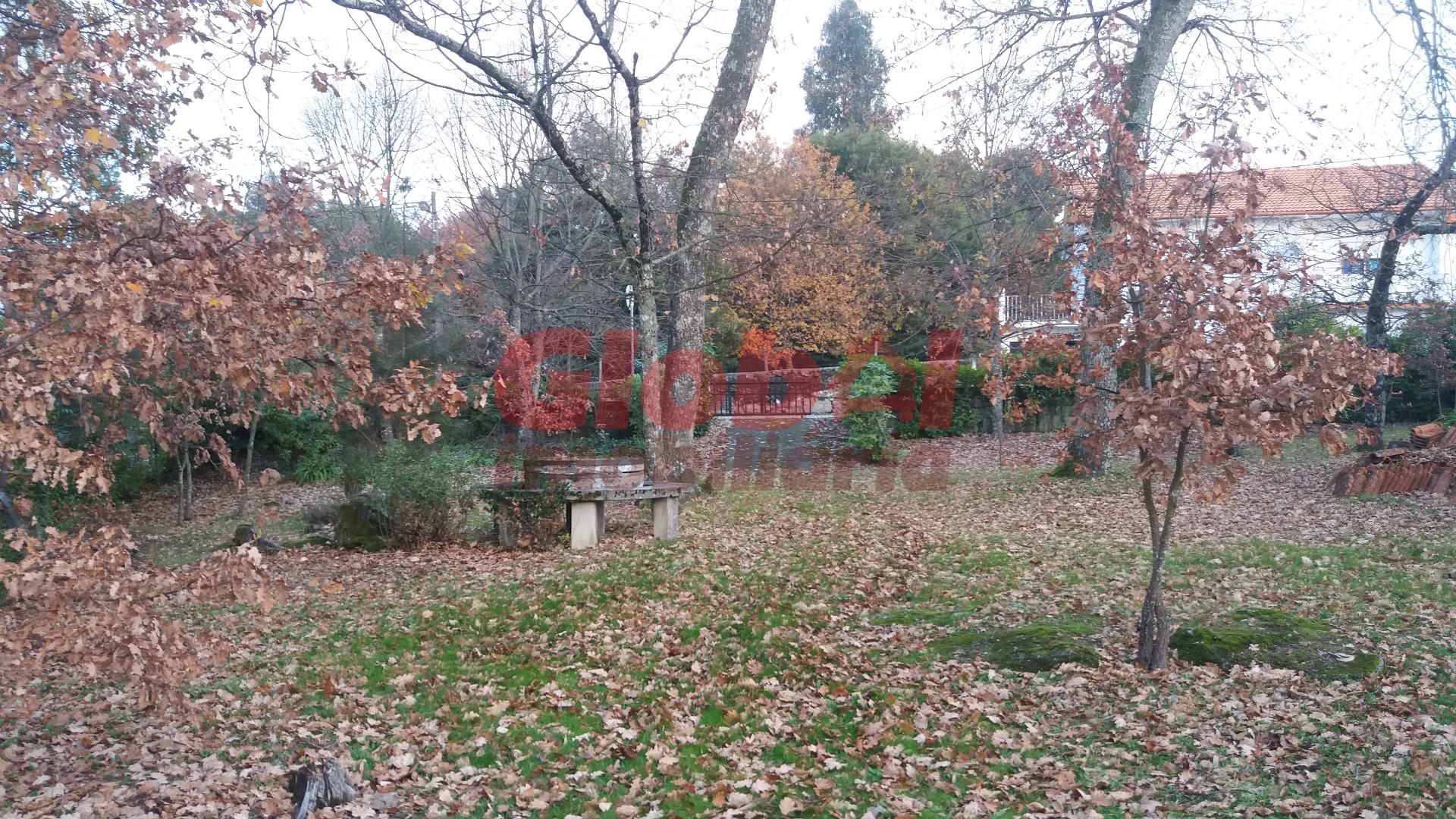 Terreno Para Construção  Venda em Rio de Loba,Viseu