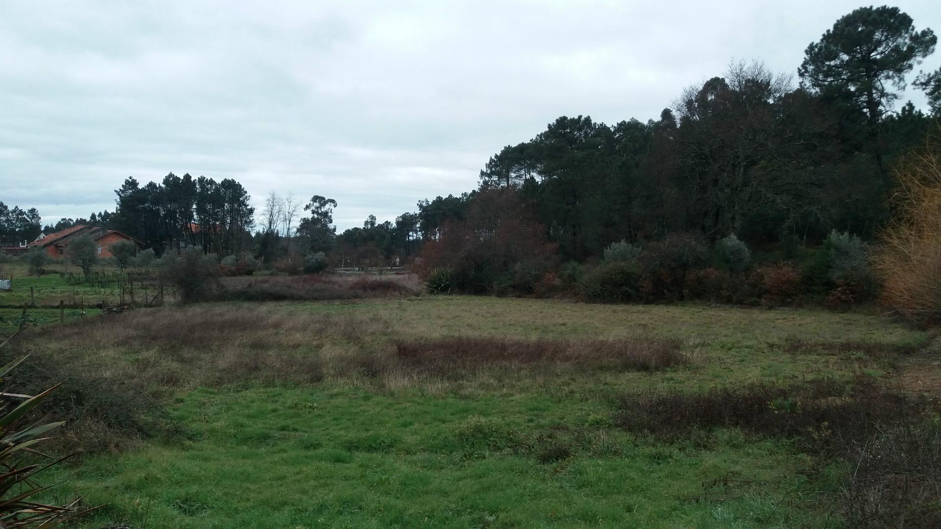 Terreno Para Construção  Venda em Cavernães,Viseu