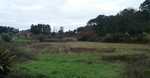 Terreno Para Construção  Venda em Cavernães,Viseu