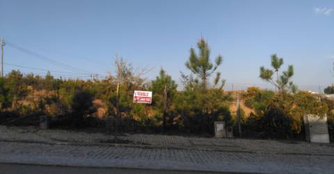 Lote de Terreno  Venda em Orgens,Viseu
