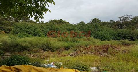 Terreno Para Construção  Venda em Rio de Loba,Viseu