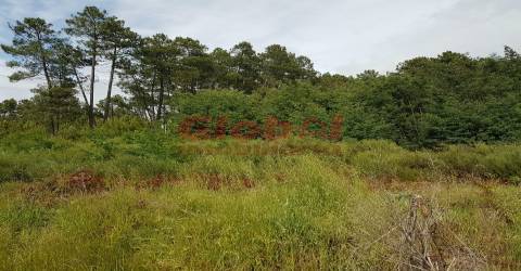Terreno Para Construção  Venda em Rio de Loba,Viseu
