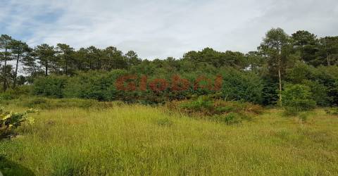 Terreno Para Construção  Venda em Rio de Loba,Viseu