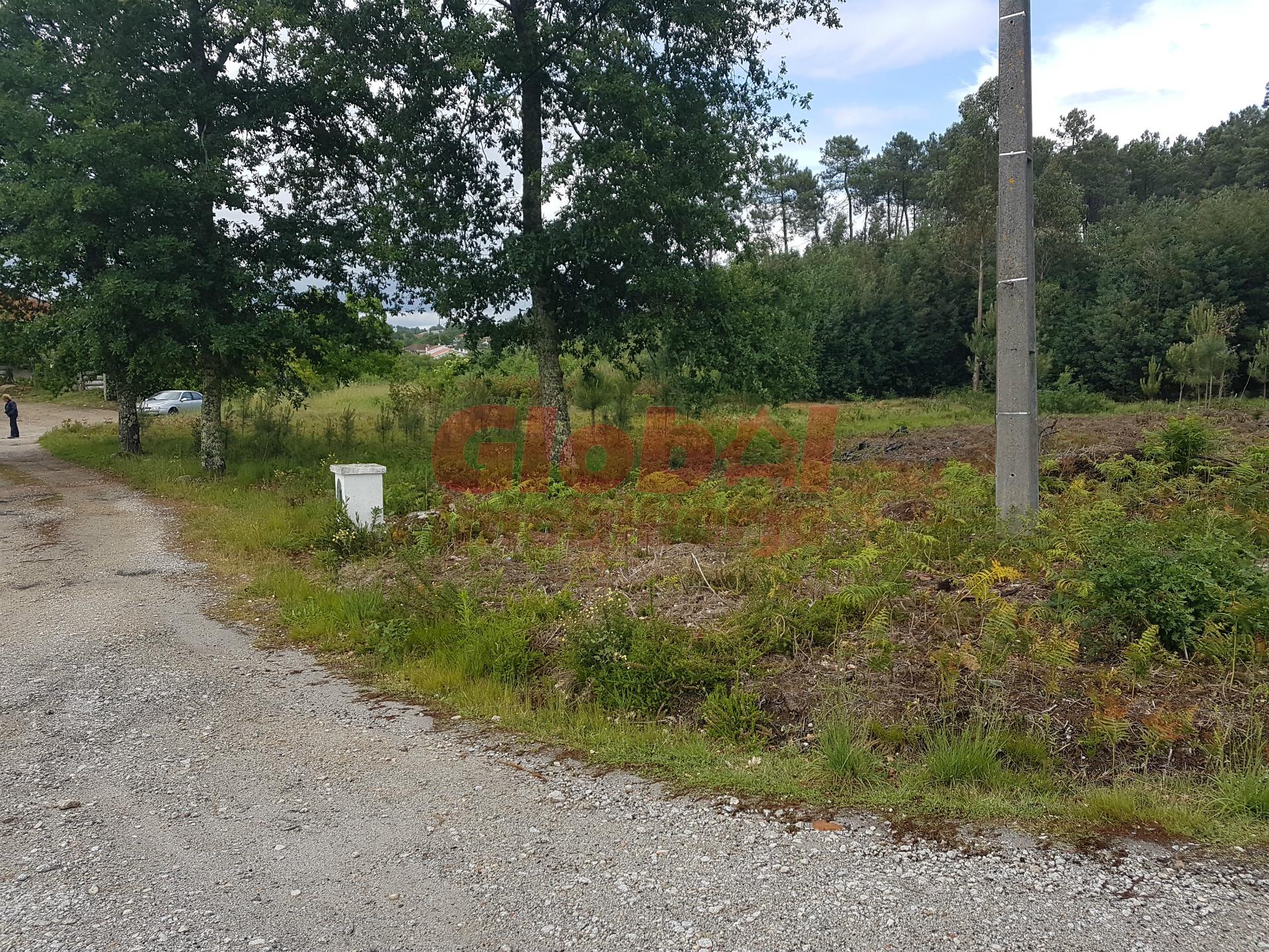 Terreno Para Construção  Venda em Rio de Loba,Viseu