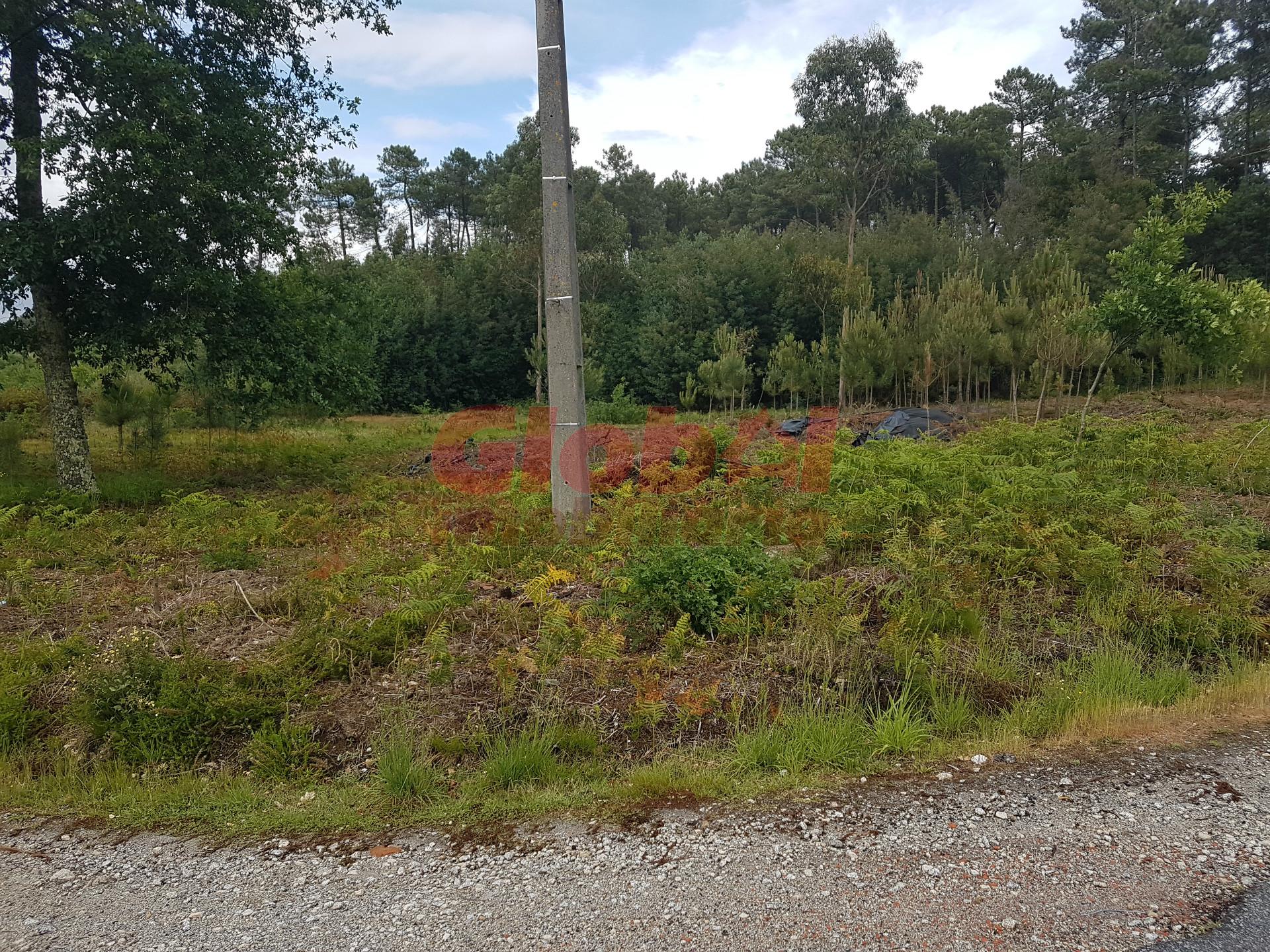 Terreno Para Construção  Venda em Rio de Loba,Viseu