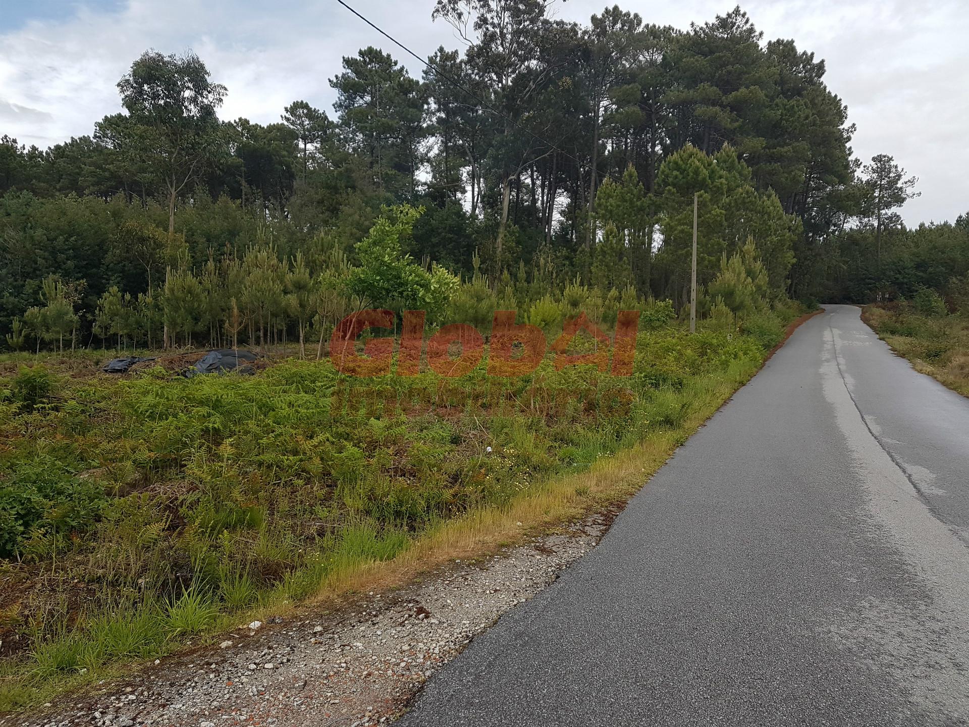 Terreno Para Construção  Venda em Rio de Loba,Viseu