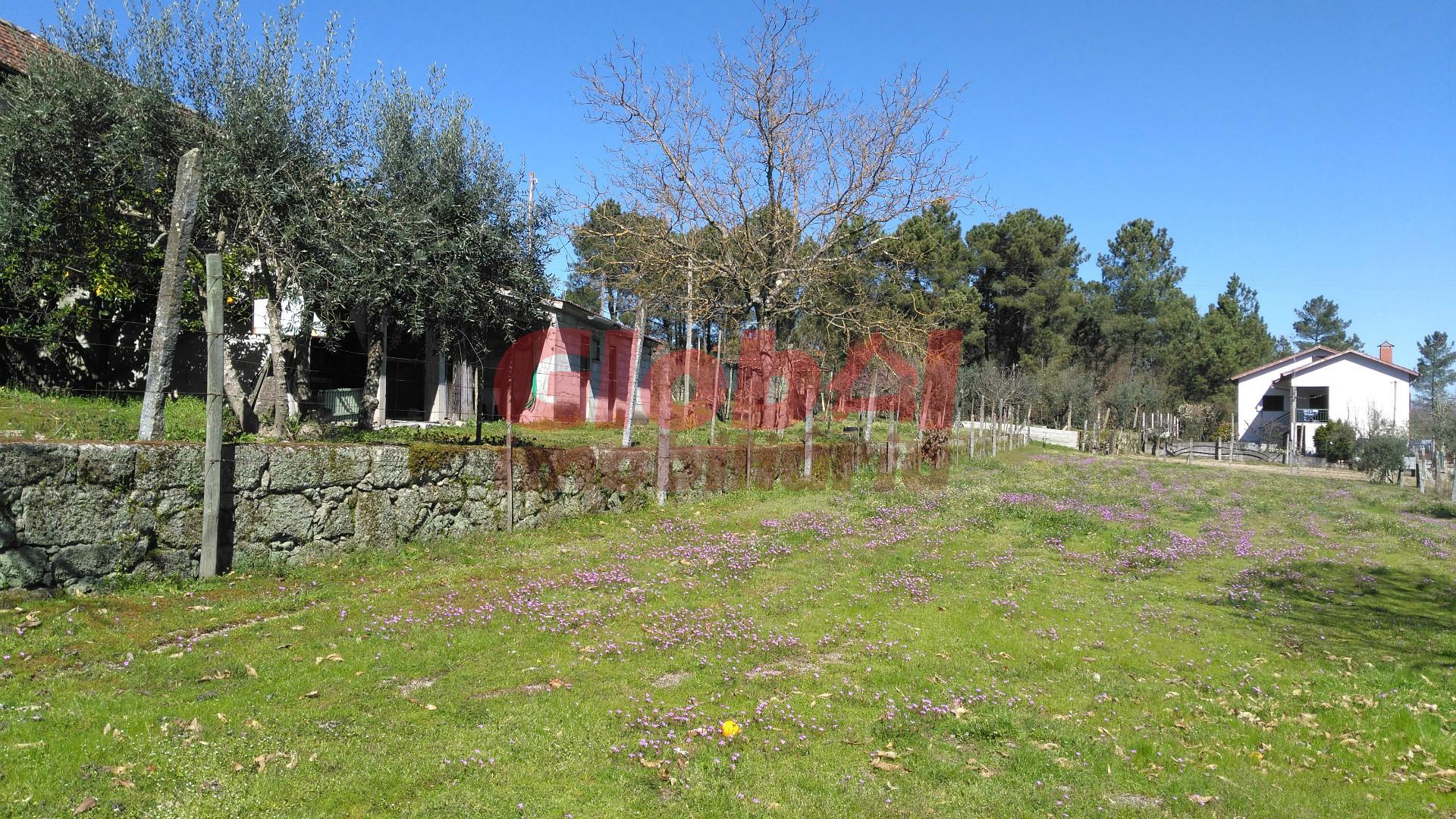 Terreno Para Construção  Venda em Bodiosa,Viseu