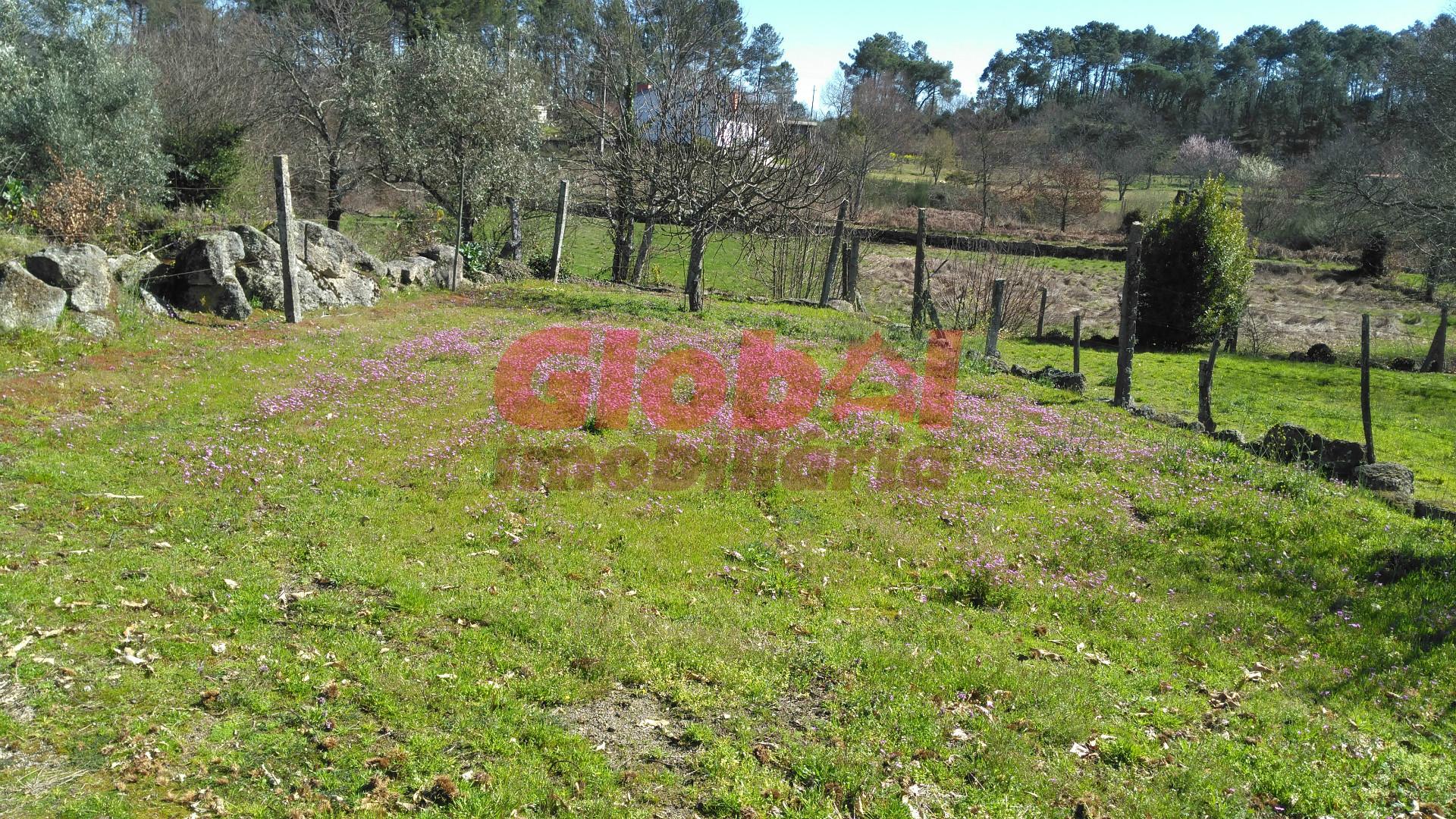 Terreno Para Construção  Venda em Bodiosa,Viseu