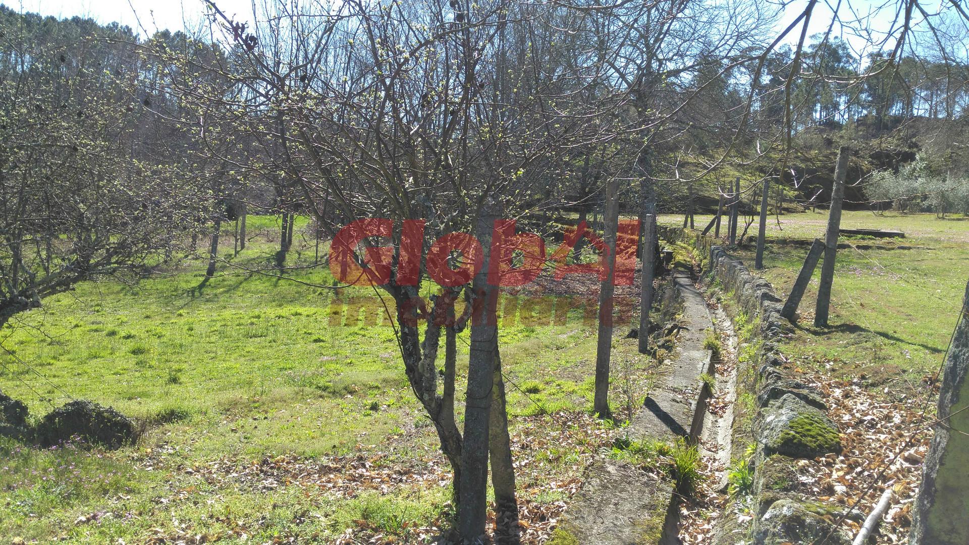 Terreno Para Construção  Venda em Bodiosa,Viseu