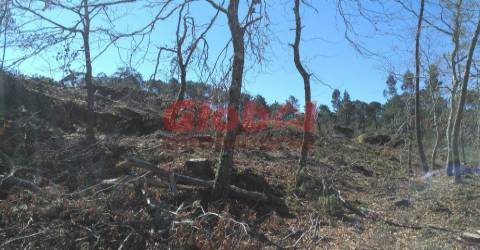 Terreno Para Construção  Venda em Bodiosa,Viseu