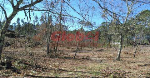 Terreno Para Construção  Venda em Bodiosa,Viseu