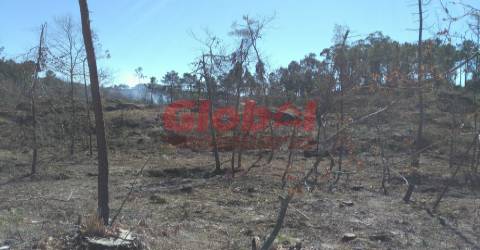 Terreno Para Construção  Venda em Bodiosa,Viseu