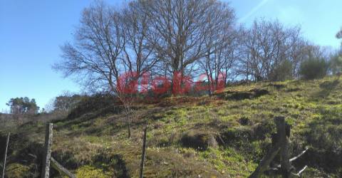 Terreno Para Construção  Venda em Bodiosa,Viseu