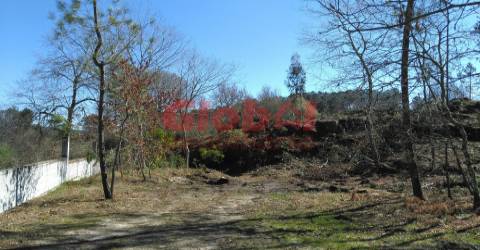 Terreno Para Construção  Venda em Bodiosa,Viseu