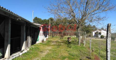 Terreno Para Construção  Venda em Bodiosa,Viseu