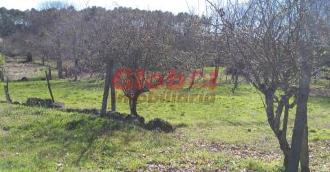 Terreno Para Construção  Venda em Bodiosa,Viseu