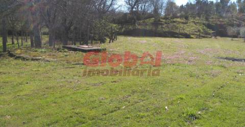 Terreno Para Construção  Venda em Bodiosa,Viseu