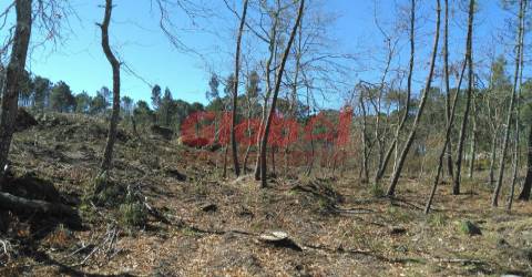 Terreno Para Construção  Venda em Bodiosa,Viseu