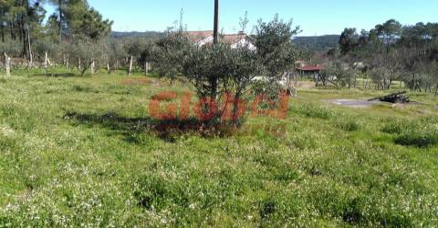 Terreno Para Construção  Venda em Bodiosa,Viseu