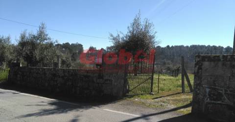 Terreno Para Construção  Venda em Bodiosa,Viseu