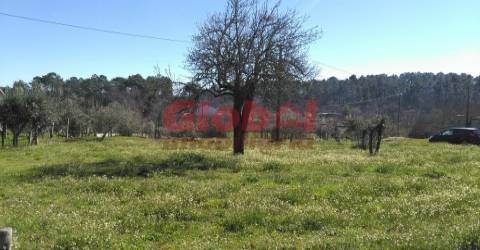 Terreno Para Construção  Venda em Bodiosa,Viseu