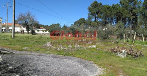 Terreno Para Construção  Venda em Bodiosa,Viseu