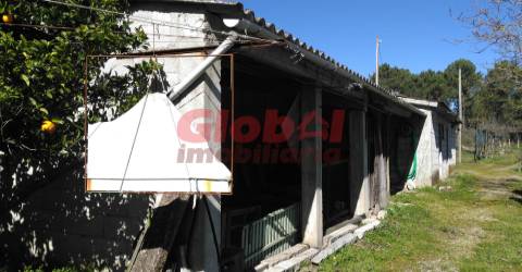 Terreno Para Construção  Venda em Bodiosa,Viseu