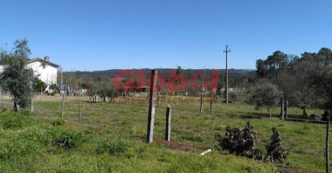 Terreno Para Construção  Venda em Bodiosa,Viseu