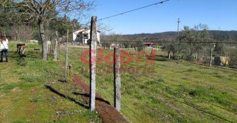 Terreno Para Construção  Venda em Bodiosa,Viseu