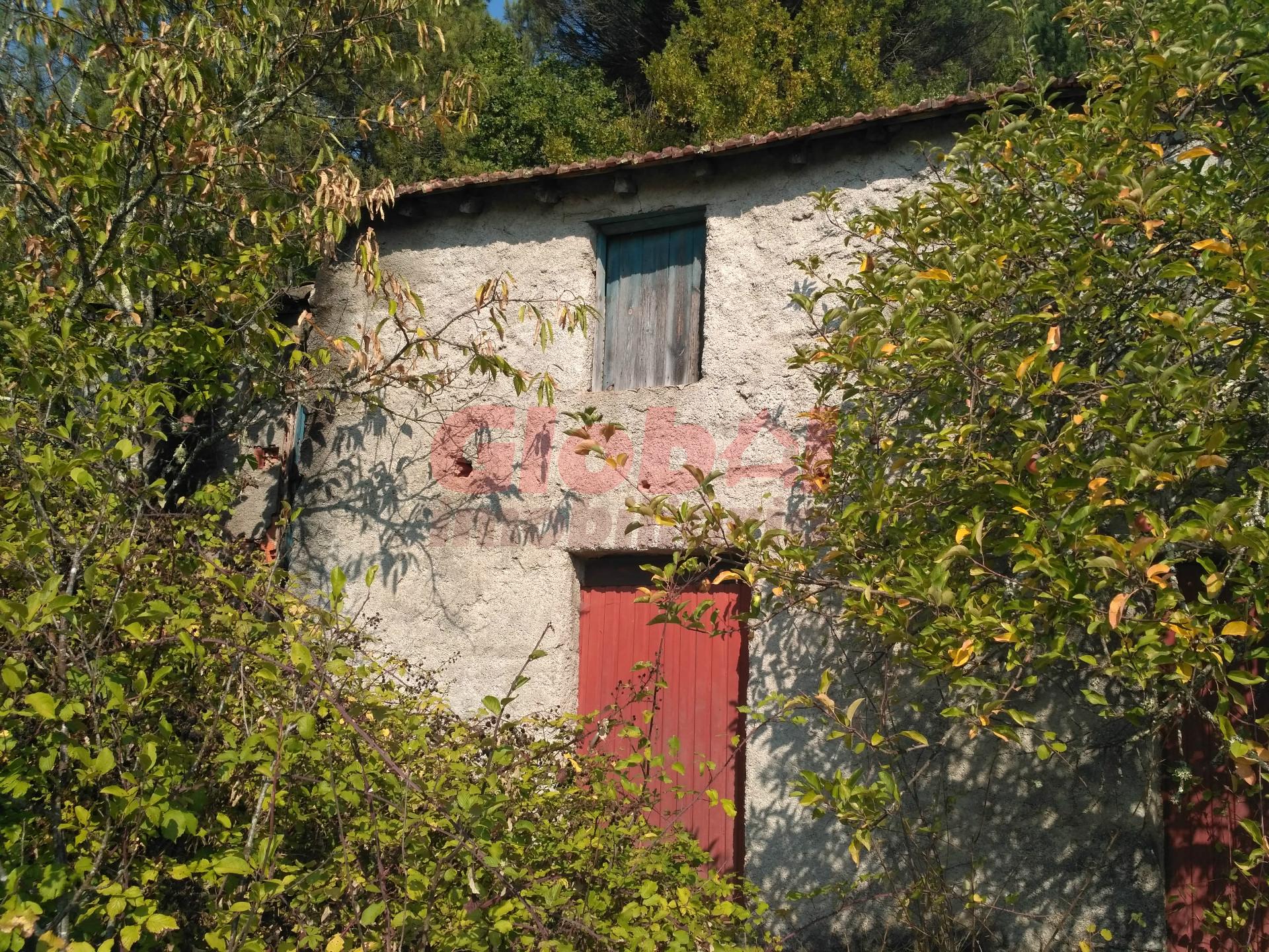 Terreno  Venda em Rio de Loba,Viseu