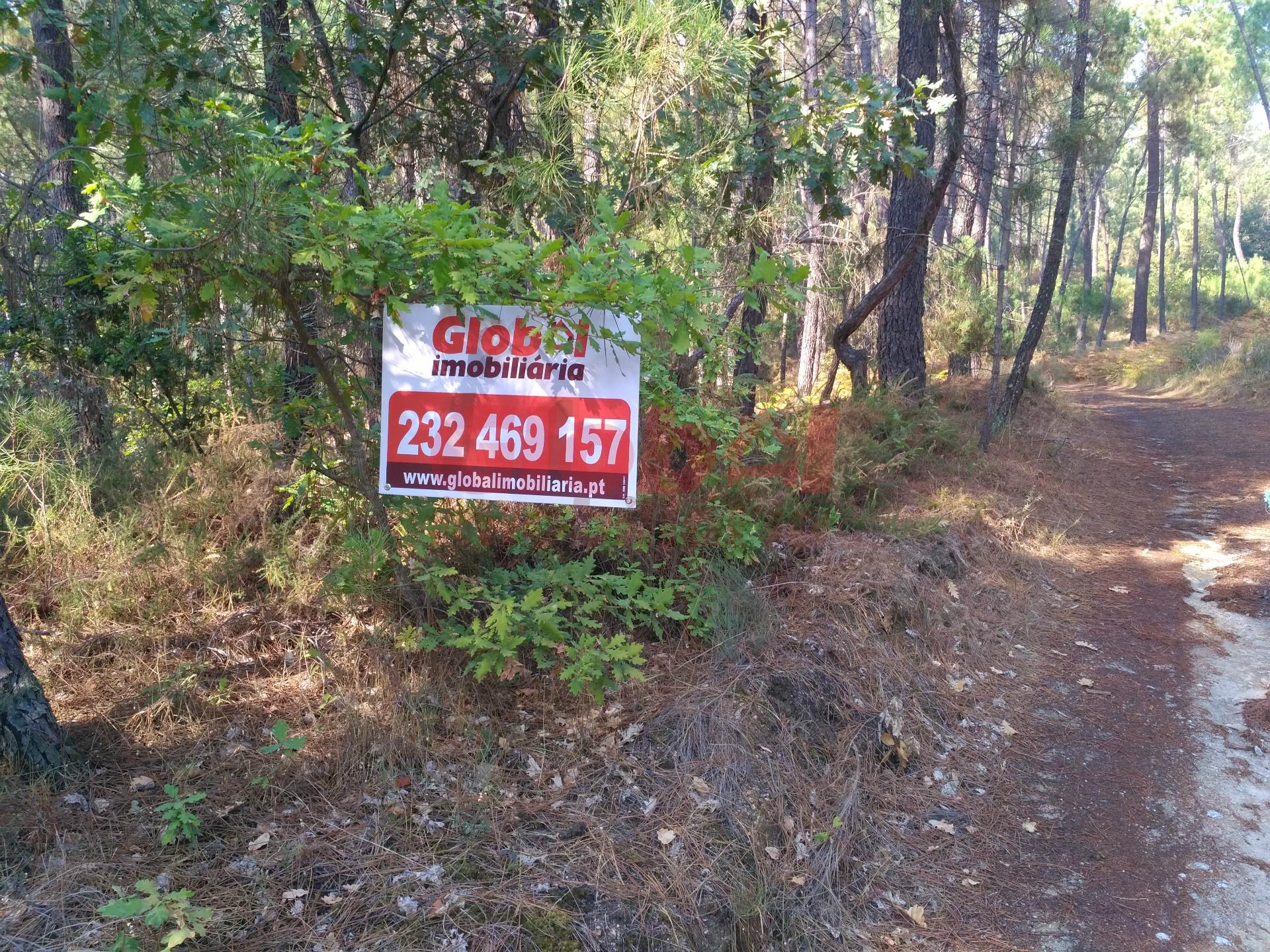 Terreno  Venda em Rio de Loba,Viseu