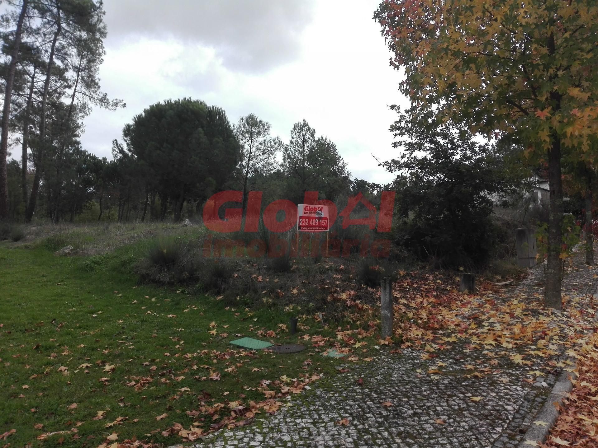 Lote de Terreno  Venda em Rio de Loba,Viseu