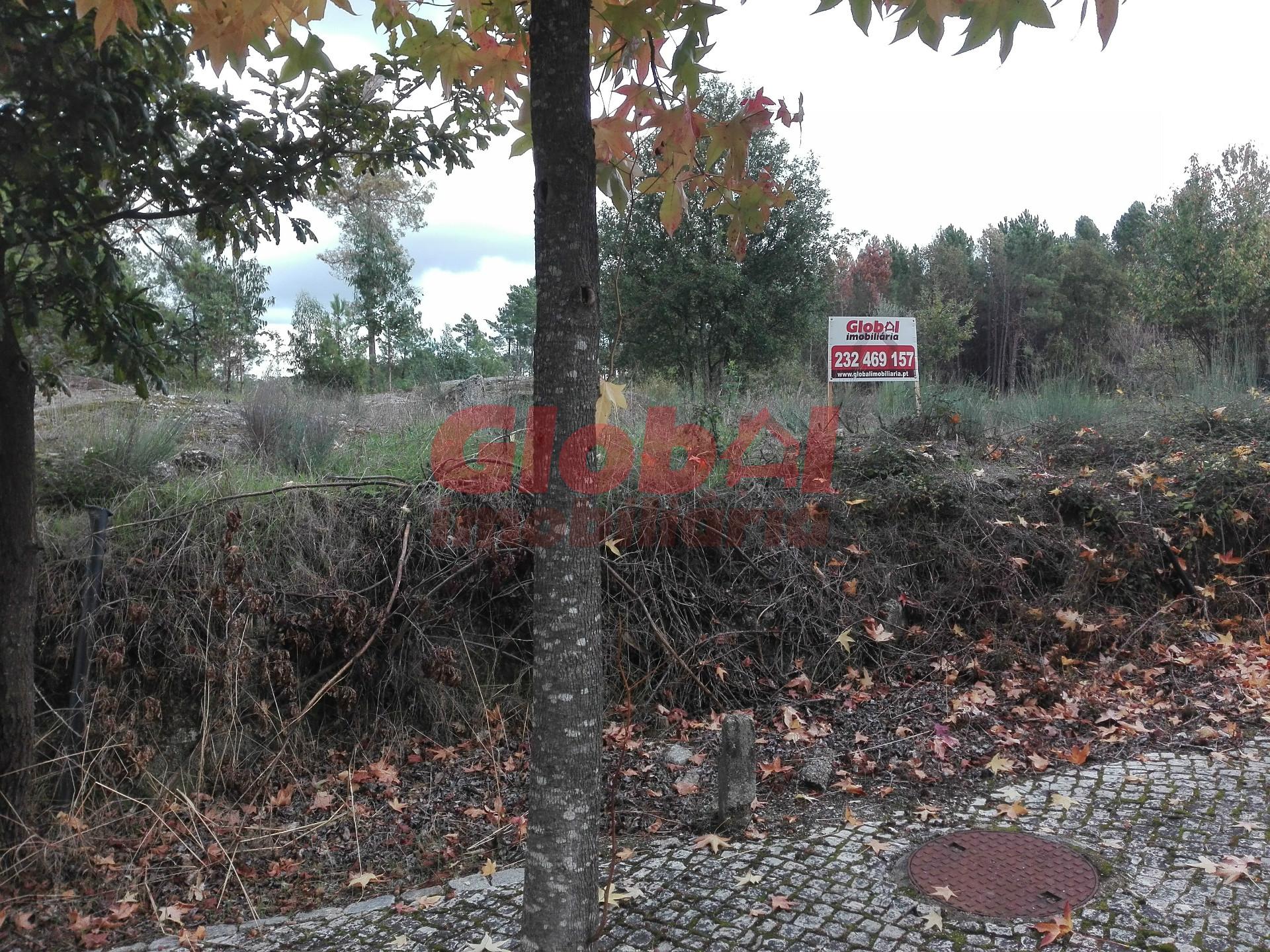 Lote de Terreno  Venda em Rio de Loba,Viseu