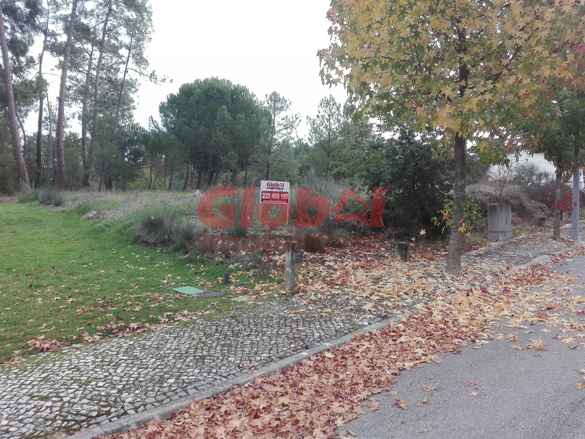 Lote de Terreno  Venda em Rio de Loba,Viseu