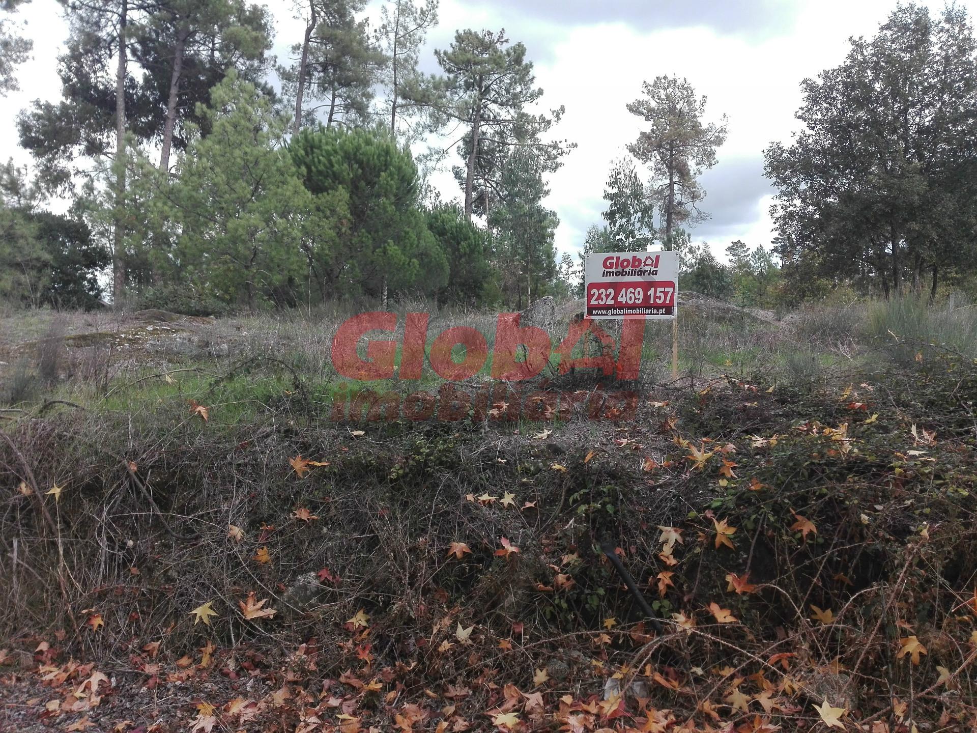 Lote de Terreno  Venda em Rio de Loba,Viseu