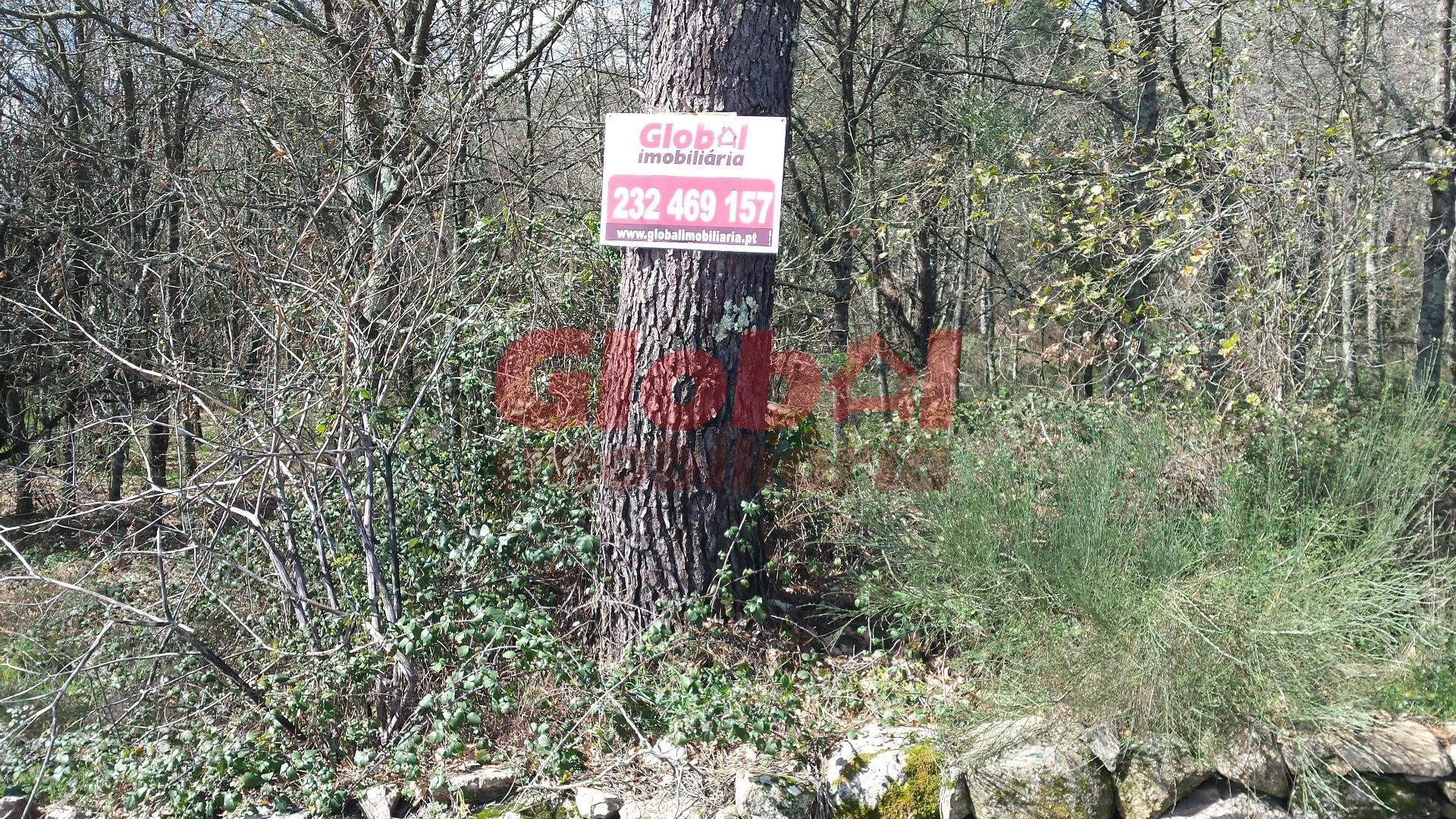 Terreno  Venda em São João de Lourosa,Viseu