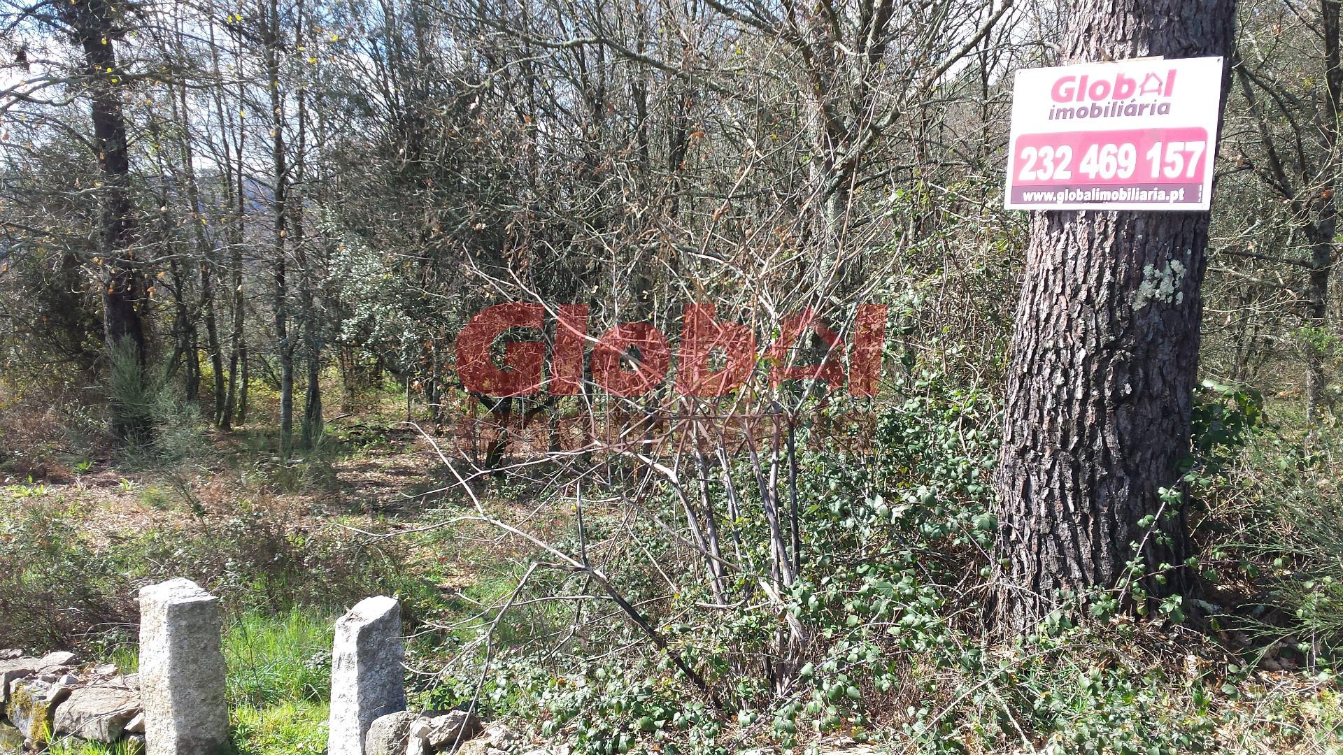 Terreno  Venda em São João de Lourosa,Viseu