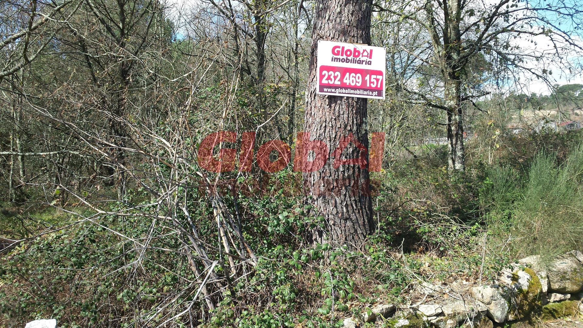 Terreno  Venda em São João de Lourosa,Viseu