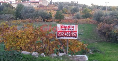 Terreno Rústico  Venda em São João de Lourosa,Viseu