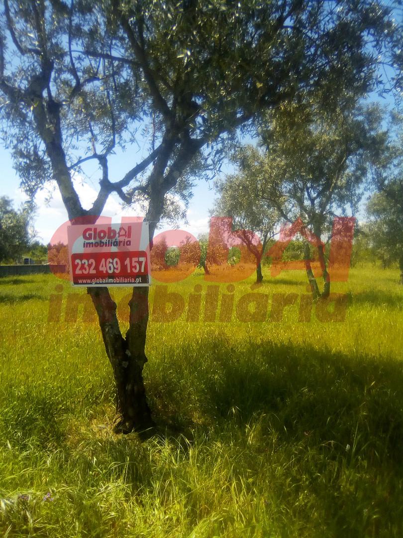 Terreno  Venda em Fragosela,Viseu