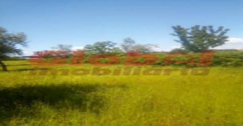 Terreno  Venda em Fragosela,Viseu