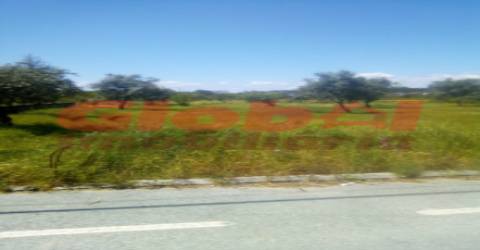 Terreno  Venda em Fragosela,Viseu