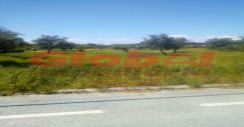 Terreno  Venda em Fragosela,Viseu