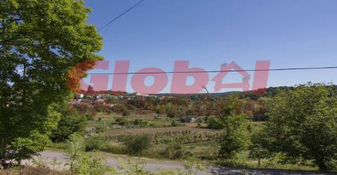 Terreno Para Construção  Venda em Couto de Baixo e Couto de Cima,Viseu